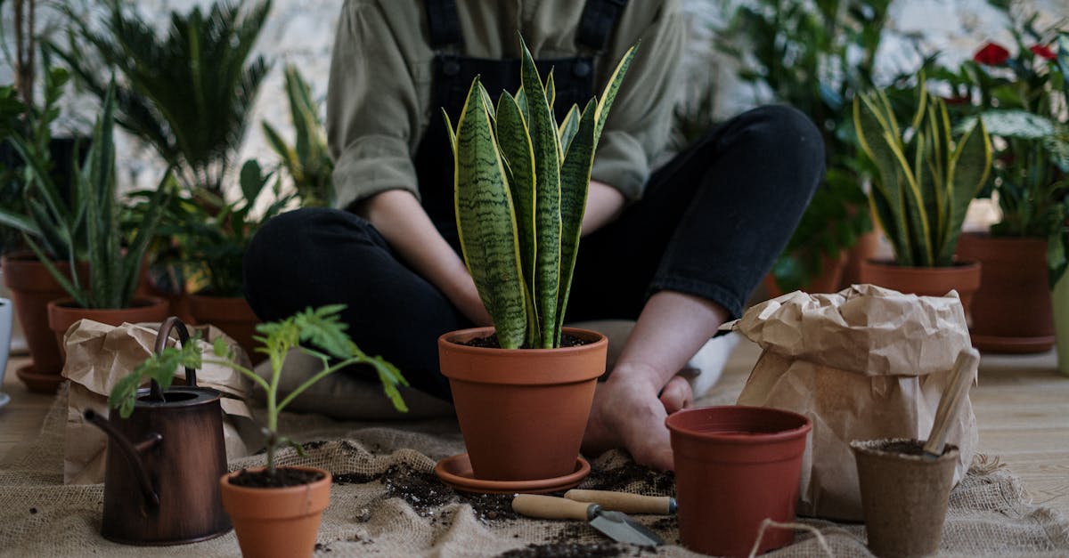 Recyklace v zahradě: Co využít a co proměnit